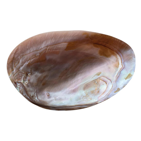MAG-7"L x 4-1/4"W Decorative Natural Shell Footed Dish (Each One Will Vary) - Picture 2 of 5